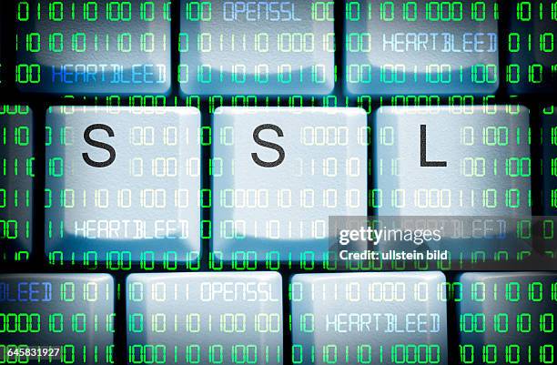 Computertasten mit SSL-Schriftzug und Binärcode, Sicherheitslücke Heartbleed in OpenSSL