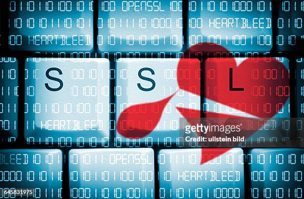 Computertasten mit SSL-Schriftzug und Binärcode, Sicherheitslücke Heartbleed in OpenSSL