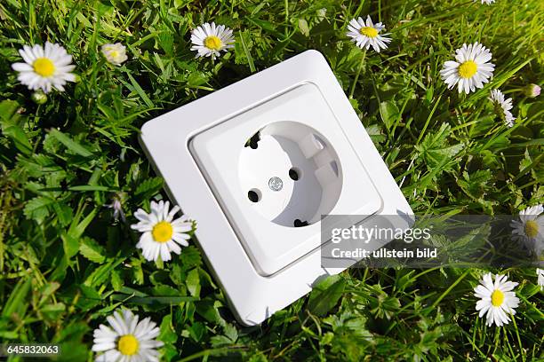 Steckdose mit Gänseblümchen auf Rasen, Ökostrom