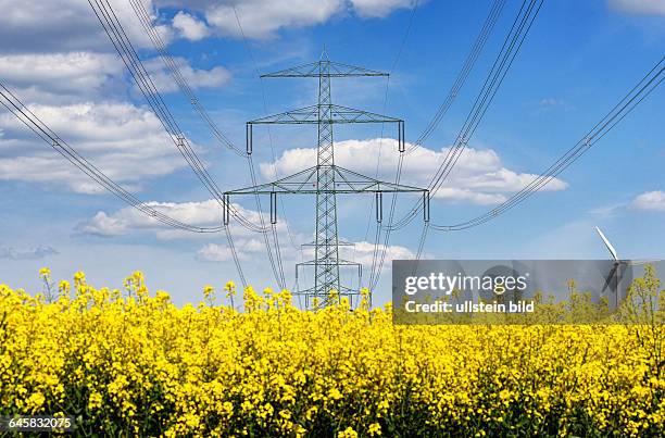 Rapsfeld, Strommasten und Windrad, Ökostrom, Netzausbau und Energiewende
