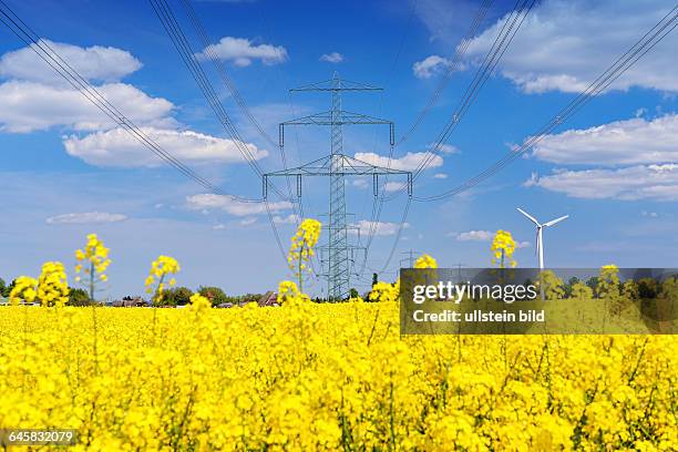 Rapsfeld, Strommasten und Windrad, Ökostrom, Netzausbau und Energiewende