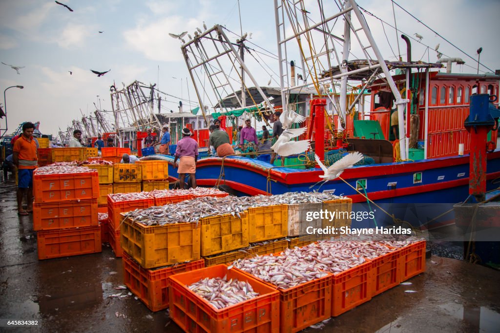 Puthiyappa Fishing Harbour