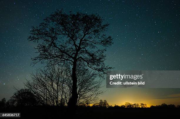 Dunkelheit; Kosmos; Nacht; Stern; Sterne; Sternenhimmel