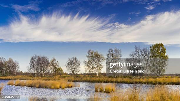 Goldenstedter Moor