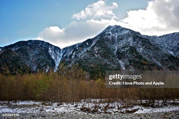 kamikochi scenery - japanese larch stock pictures, royalty-free photos & images