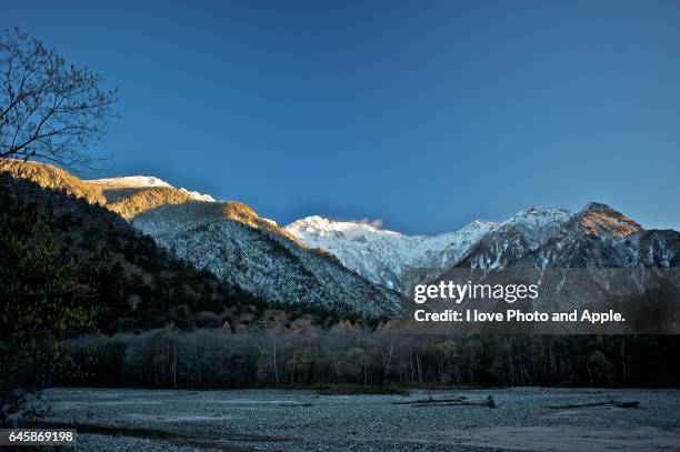 kamikochi scenery - japanese larch stock pictures, royalty-free photos & images