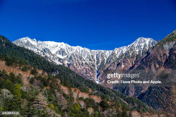 kamikochi scenery - japanese larch stock pictures, royalty-free photos & images