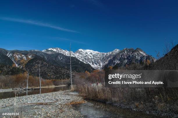 kamikochi scenery - japanese larch stock pictures, royalty-free photos & images