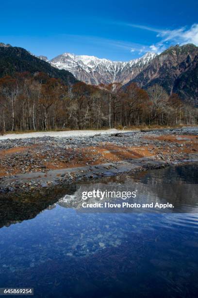 kamikochi scenery - japanese larch stock pictures, royalty-free photos & images