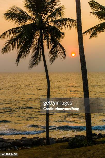 the beach of trivandrum' india - malabar coast stock pictures, royalty-free photos & images