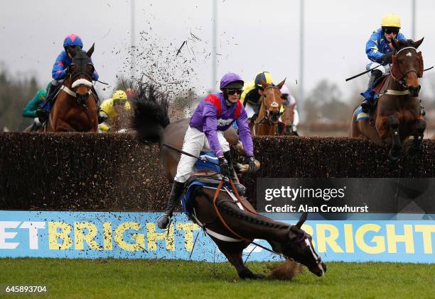 Nico de Boinville riding Cocktails At Dawn fall during The BetBright Handicap Steeple Chase at Kempton Park on February 25, 2017 in Sunbury, England.