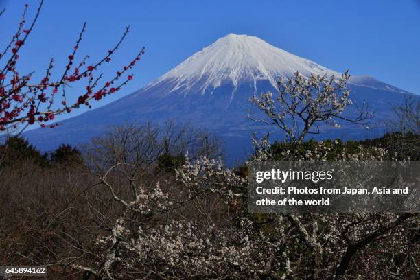 72 Fuji Yama Stock Photos, High-Res Pictures, and Images - Getty