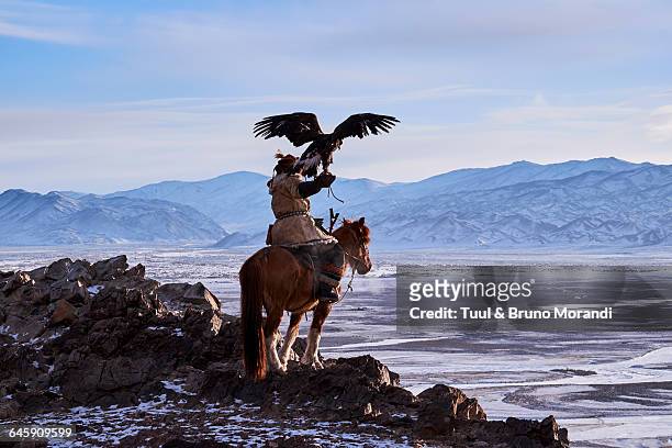 mongolia, bayan-olgii, eagle hunter - kazajistán fotografías e imágenes de stock