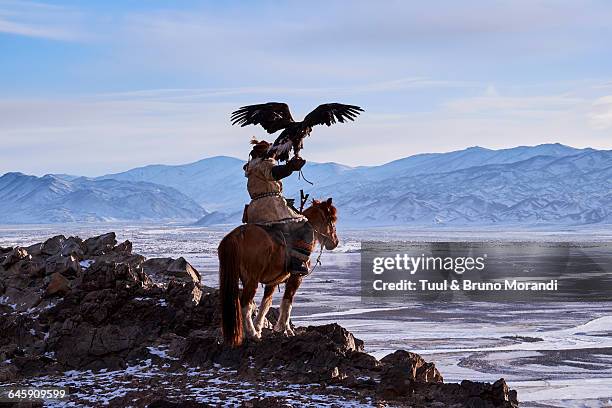 mongolia, bayan-olgii, eagle hunter - kazakhstan nature stock pictures, royalty-free photos & images