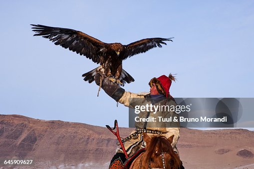 Mongolia, Bayan-Olgii, eagle hunter Mongolia, Bayan-Olgii, eagle hunter