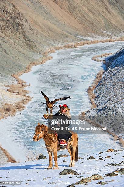 mongolia, bayan-olgii, eagle hunter - hobby bird of prey fotografías e imágenes de stock