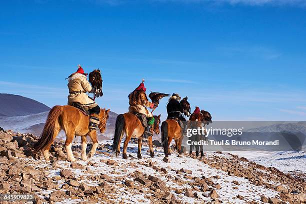 mongolia, bayan-olgii, eagle hunter - kazakhstan man stock pictures, royalty-free photos & images