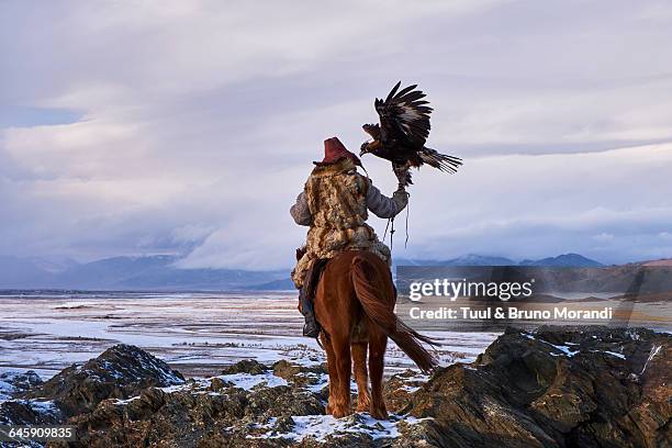 mongolia, bayan-olgii, eagle hunter - kasachstan stock-fotos und bilder