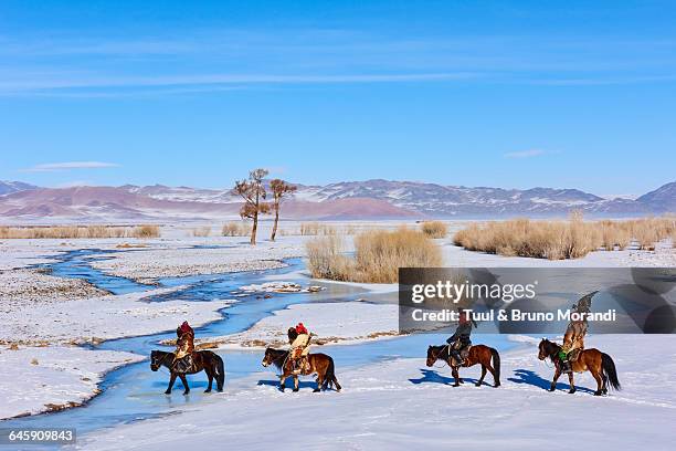 mongolia, bayan-olgii, eagle hunter - hobby bird of prey fotografías e imágenes de stock