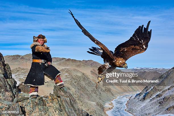 mongolia, bayan-olgii, eagle hunter - independent mongolia stock-fotos und bilder