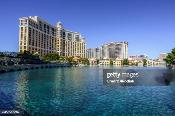 las vegas hotel - bellagio lobby stock pictures, royalty-free photos & images
