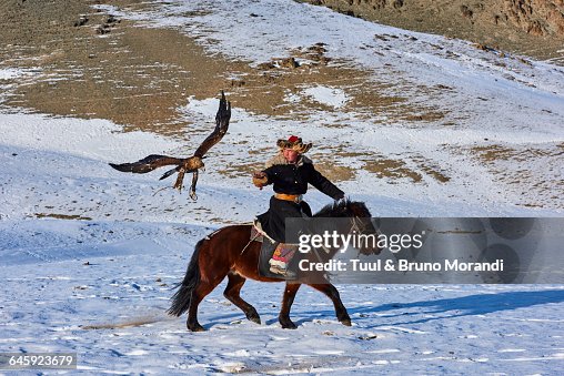 Mongolia, Bayan-Olgii, eagle hunter Mongolia, Bayan-Olgii, eagle hunter