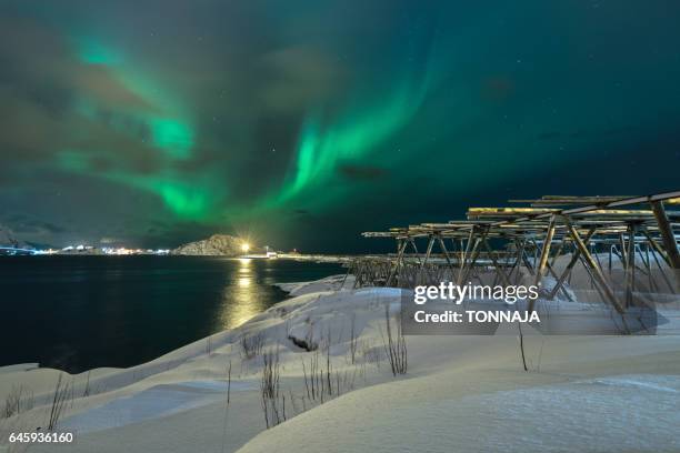 the northern light at lofoten, norway - aurora borealis lofoten stock-fotos und bilder
