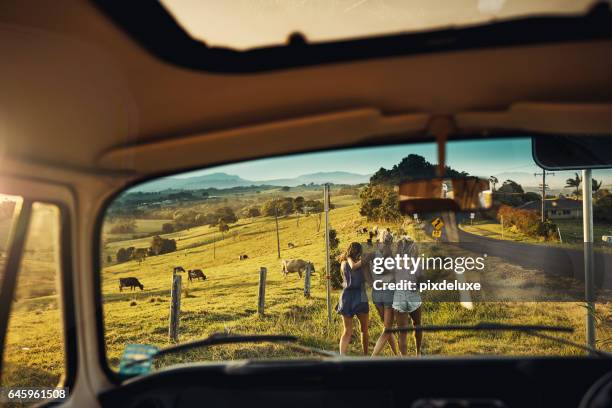 have friends, will travel - australian road trip stock pictures, royalty-free photos & images