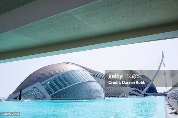 city of arts and sciences, valencia city, spain - city of arts & sciences stock pictures, royalty-free photos & images