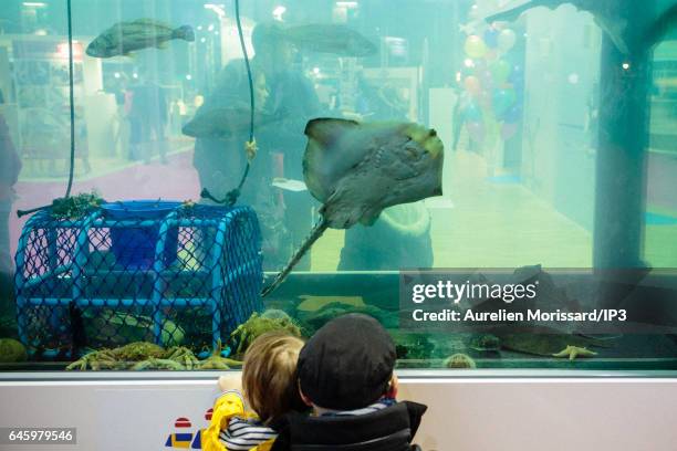 General view of an aquarium during the fair of Agriculture at Paris Expo Porte de Versailles on February 27, 2017 in Paris, France. Despite this...