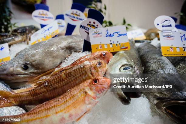 General view of a fish stall during the fair of Agriculture at Paris Expo Porte de Versailles on February 27, 2017 in Paris, France. Despite this...