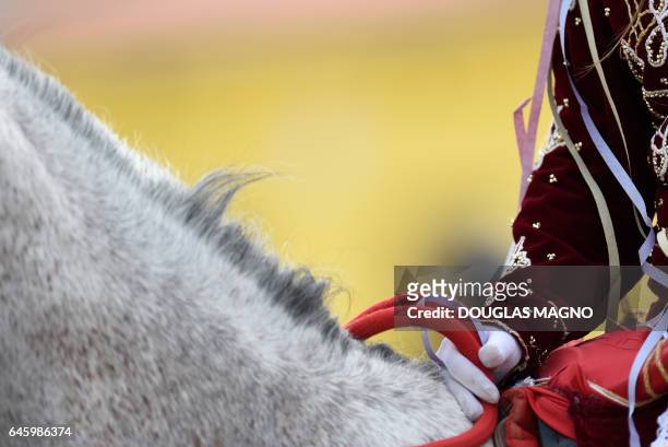 Revellers participate in the traditional carnival on horseback in Bonfim, Minas Gerais state, southeastern Brazil, on February 27, 2017. Dressed in...