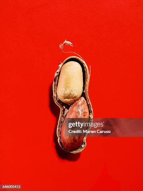 half of a whole peanut on red background - peanut food stock pictures, royalty-free photos & images