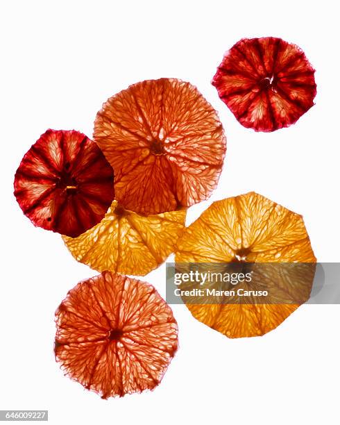 slices of grapefruit on white background - pink grapefruit stock pictures, royalty-free photos & images