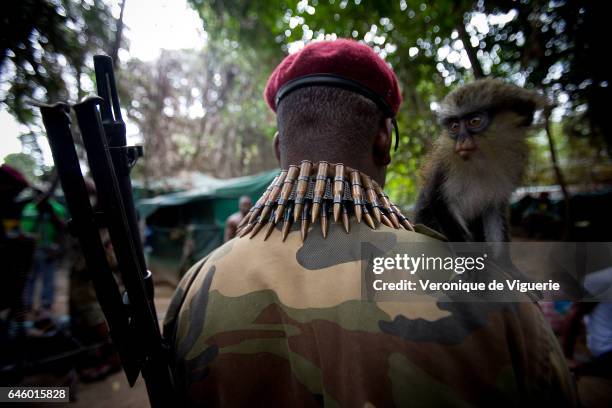 Militants working under Ateke Tom, the big chief of the MEND , in camp nine, which is just one of the eleven camps he rules in the mangroves of the...