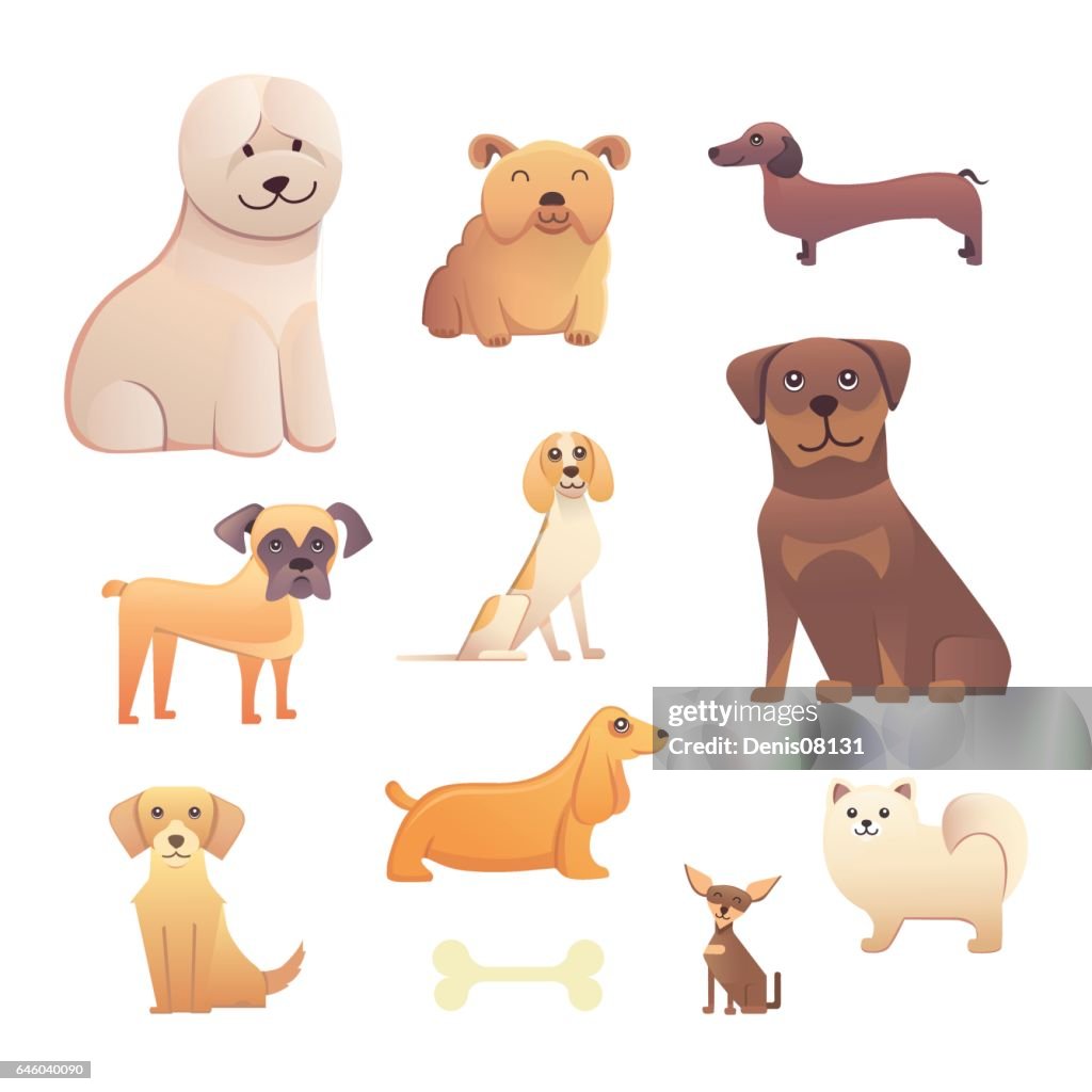 Diferentes Tipos De Perros De Dibujos Animados Perro Feliz Conjunto  Ilustración Vectorial Ilustración de stock - Getty Images