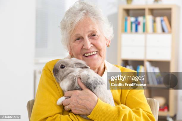 Lady With Rabbit 5,295 Women Using The Rabbit Stock Photos, High-Res Pictures, and ...
