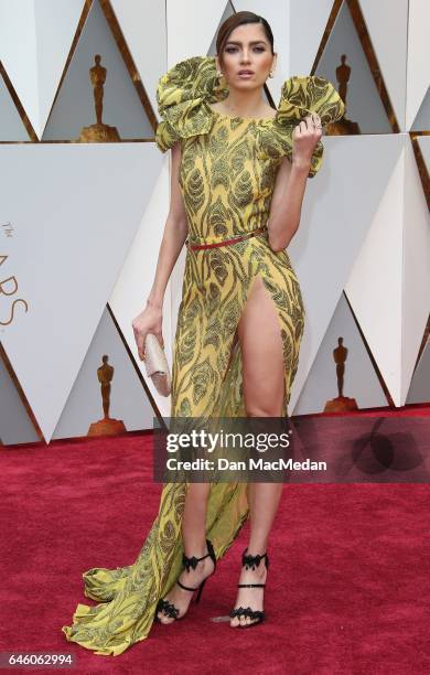 Actress Blanca Blanco arrives at the 89th Annual Academy Awards at Hollywood & Highland Center on February 26, 2017 in Hollywood, California.