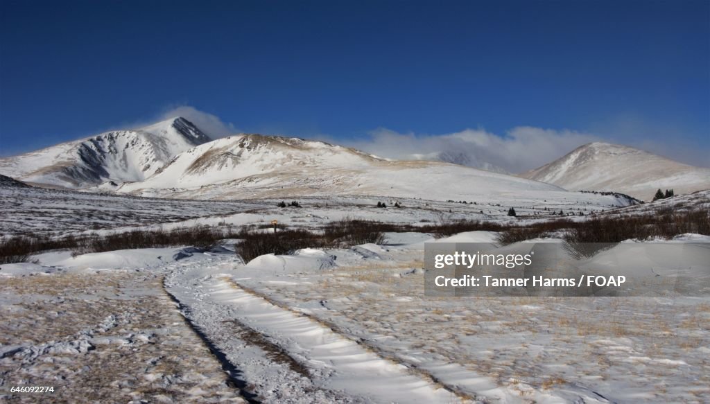 Scenic view in winter