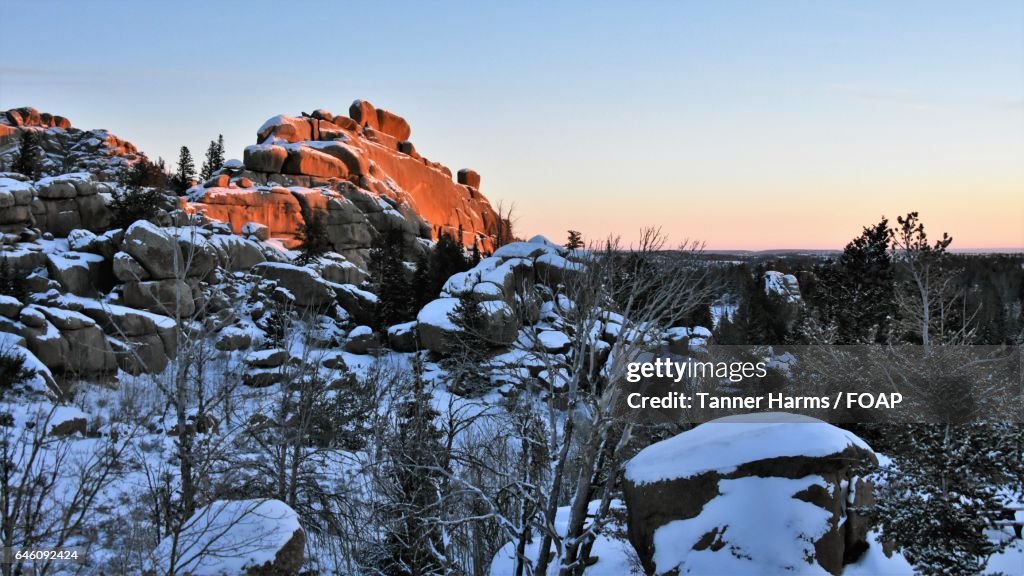 View of winter