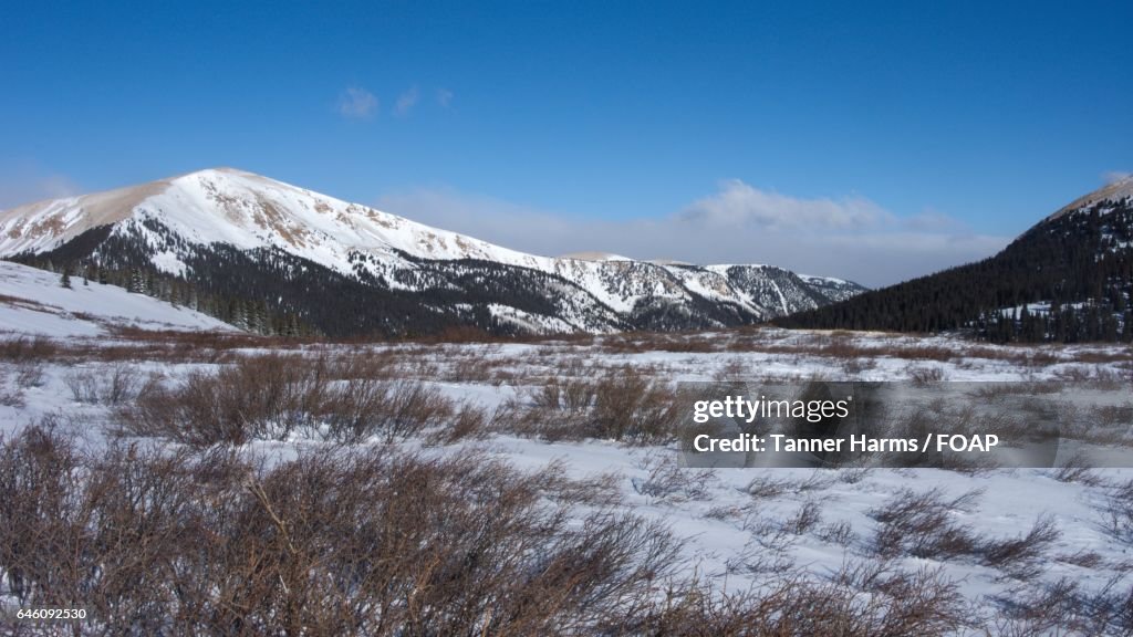 Alpine valley in Colorado