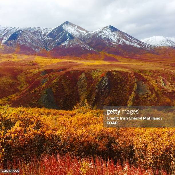 scenic view of tombstone mountain - tombstone mountains stock pictures, royalty-free photos & images