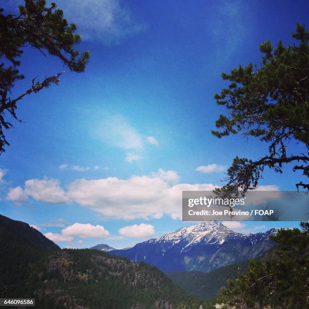 scenic view of mountain and trees - provino stock pictures, royalty-free photos & images