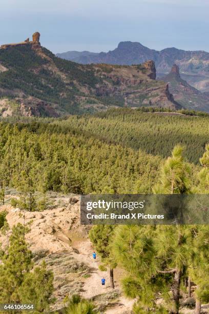 roque nublo in the centre of gran canaria - tejeda fotografías e imágenes de stock