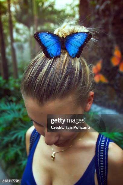 beautiful blonde young woman with a blue butterfly standing on her head, chapultepec, mexico city, mexico - bosque de chapultepec stockfoto's en -beelden