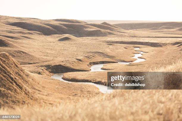 creek winding through western landscape - prairie creek stock pictures, royalty-free photos & images