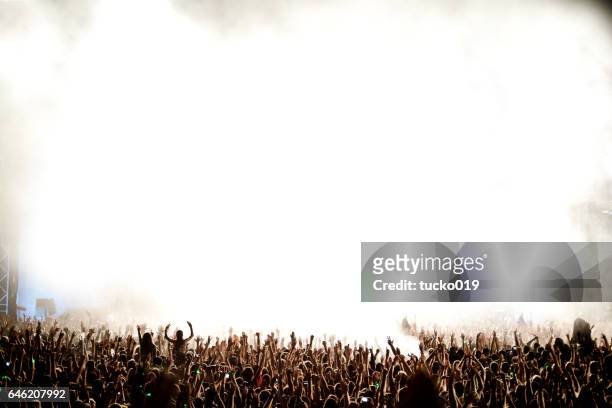 concert crew - crowd cheering stock pictures, royalty-free photos & images