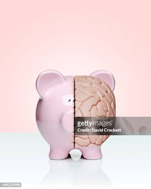 piggy bank and brain - brain money stockfoto's en -beelden