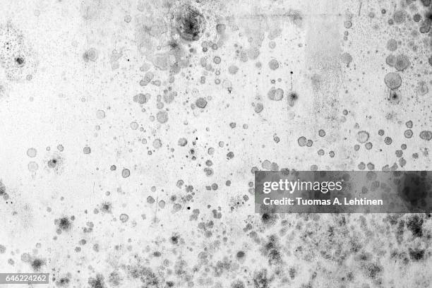 dirty, stained and worn wall texture background in black&white. - schimmel stockfoto's en -beelden