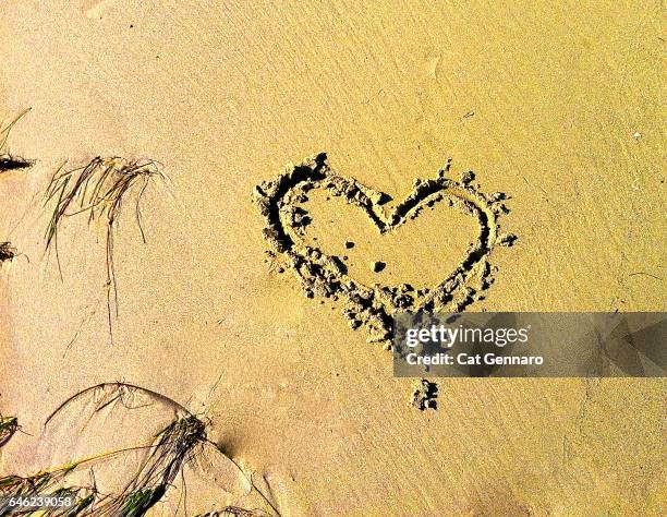 a heart in the sand - coeur symbole dune idée photos et images de collection